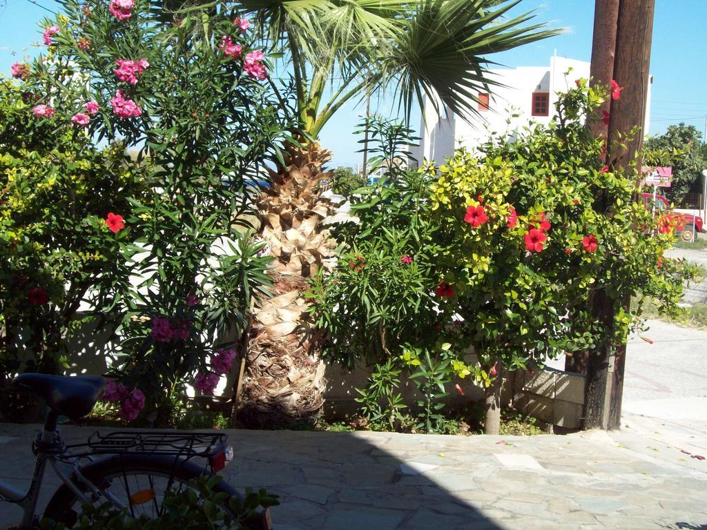 Korissia  Anastasia Apartments מראה חיצוני תמונה